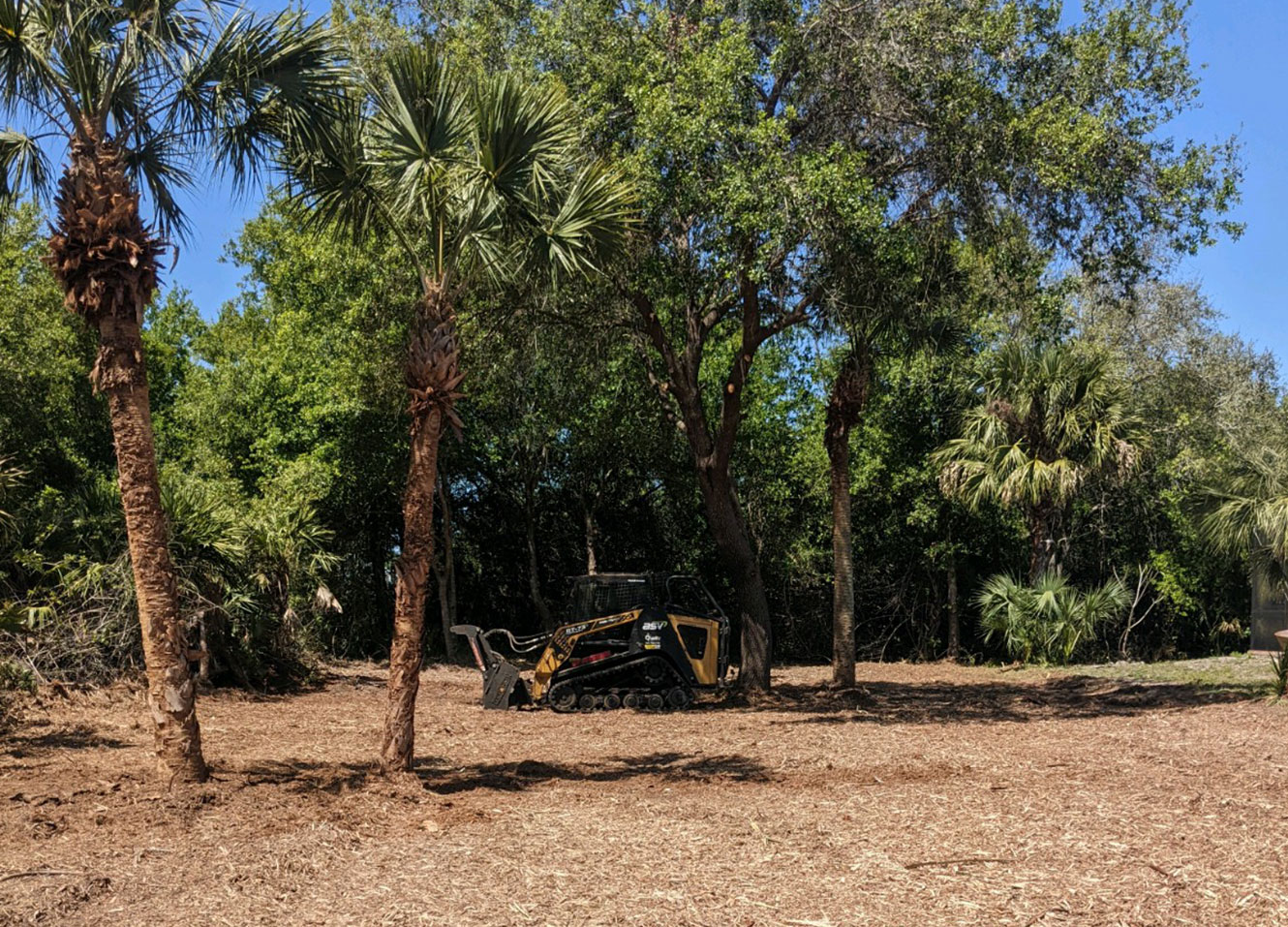 Coastal Mowing & Tree performing land clearing with their dozer